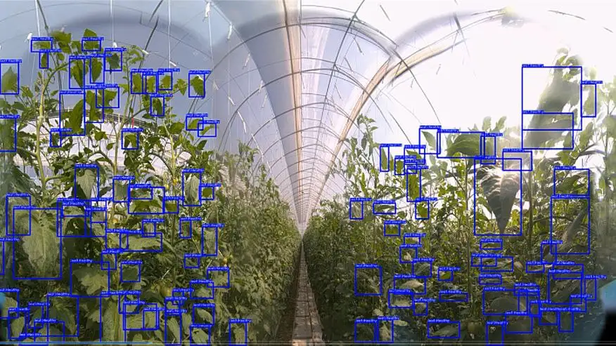 Plant Detector – AI Plant Identification & Disease Detection Image 11