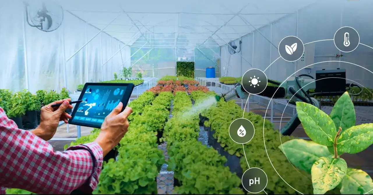 Plant Detector – AI Plant Identification & Disease Detection Image 2