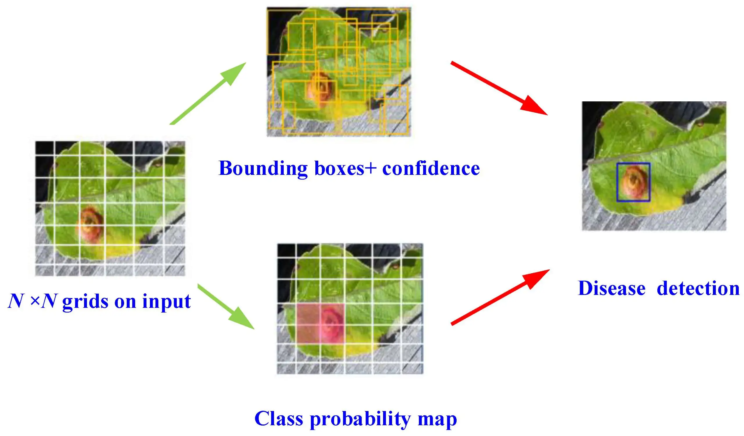 Plant Detector – AI Plant Identification & Disease Detection Image 4