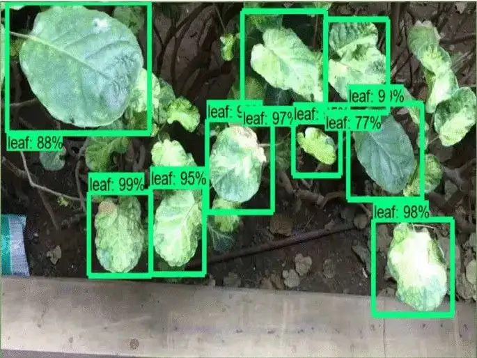 Plant Detector – AI Plant Identification & Disease Detection Image 6